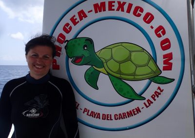 Phocea Mexico: Une valeur sûre